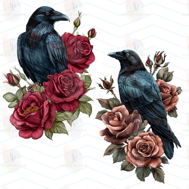 May include: Two illustrations of ravens with roses. One raven is surrounded by deep red roses, the other by muted brown roses. The ravens have dark blue-black feathers and black beaks. The background is white with a subtle chevron pattern.