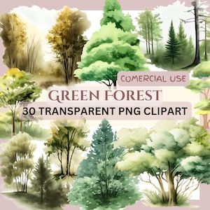 30 PNG GREEN FOREST Trees clip arts (300 dpi, commercial use, bundle, digital transparent, watercolor) Nature, Woods, Wildness, Landscape