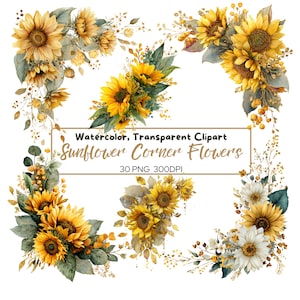 May include: Watercolor clipart featuring sunflower corner flowers in various arrangements. The image includes bright yellow sunflowers with green leaves and accents of smaller flowers and berries. Text reads "Watercolor, Transparent Clipart Sunflower Corner Flowers 30 PNG 300DPI."