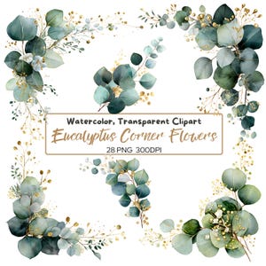 Puede incluir: Clipart de acuarela con flores de esquina de eucalipto en tonos verdes y verde azulado con detalles dorados. La imagen incluye el texto: "Watercolor, Transparent Clipart Eucalyptus Corner Flowers 28 PNG 300DPI."