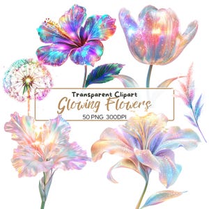 50 PNG Leuchtende Blumen Clip-Arts (300 dpi, kommerzielle Nutzung, Bundle, digital, Illustration) Leuchtende Blumen auf transparentem Hintergrund, glänzend