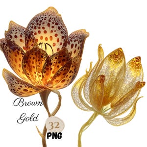 32 PNG AMARELO Marrom Dourado Abstrato FLORES clip arts, Flores Surreais, Florais Amarelos Brilhantes, Flores de Fadas, Flor Marrom Sonhadora Clipart png