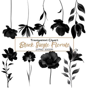 21 Cliparts de Flores em Aquarela Marrom e Preto PNG | Flores Modernas em Negrito PNG, Fundo Transparente, Flores Digitais para Artesanato e Design Vetorial