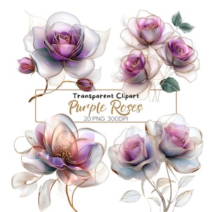 20 PNG PURPLE ROSES clip arts (300 dpi, do użytku komercyjnego, pakiet, cyfrowy, akwarela, tusz alkoholowy) złoty kontur, kwiaty, kwiatowy, fioletowy