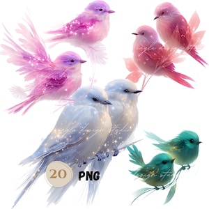 Bundle de cliparts oiseau fantastique, clipart oiseau pailleté PNG, oiseaux lunatiques scintillants par paires, Illustration animale colorée mignonne, numérique