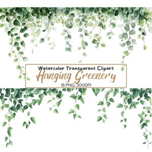 18 PNG hangend groen grens clipart, transparant groen illustraties, takken, eucalyptus, olijf frame, sublimatie, gebladerte, groene rand