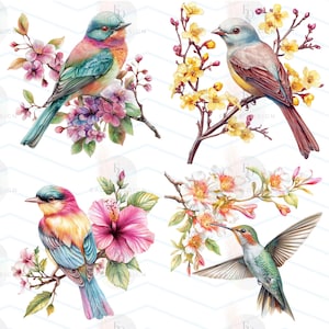May include: Watercolor illustrations of colorful birds perched on flowering branches. The birds feature vibrant hues of blue, pink, yellow, and green. The flowers include pink cherry blossoms, yellow blooms, and a large pink hibiscus. The image has a white background.