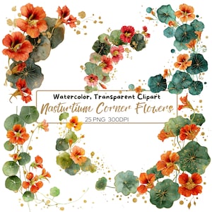 25 png-aquarel oostindische kers hoek clipart, oranje bloemen randen, wilde tuinbloemen, vintage botanische bloemen voor ambachten, rood en goud