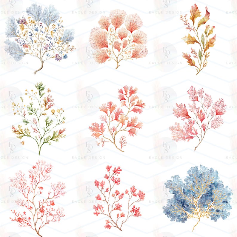 May include: A collection of nine watercolor illustrations featuring various sea coral and seaweed specimens in shades of blue, coral pink, orange, and green, arranged in a grid pattern against a white background with faint watermark text.