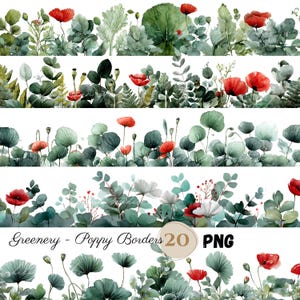 20 PNG verdure pavot bordure clipart, clipart verdure transparente, eucalyptus avec coquelicots, feuillage, bordure verte botanique fleur floral