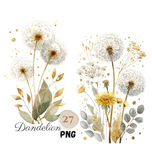 Könnte beinhalten: Aquarell-Illustration von Löwenzahnpflanzen mit flauschigen weißen Samenköpfen, gelben Blüten und goldenen Akzenten. Der Text "Dandelion PNG" und die Zahl "27" in einem Kreis sind enthalten.