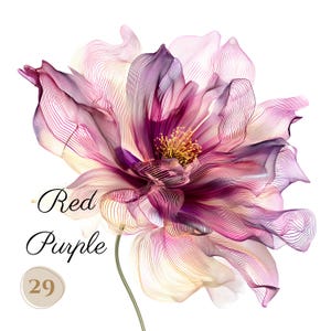 36 PNG rode en paarse abstracte aquarel BLOEMEN clip arts (300 dpi, commercieel gebruik, bundel, digitaal, aquarel, alcoholinkt)
