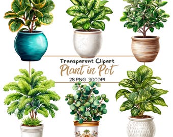 Watercolor Potted Plant Clipart: 28 PNG Houseplant Illustrations (Digital Download