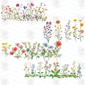 Borda de flores silvestres, Floral, png, Clipart de flores, Clip art transparente de flores silvestres, Moldura de flores silvestres, Sublimação