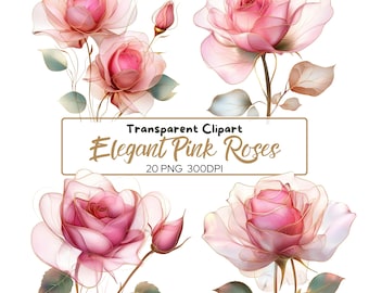 Può includere: Clipart trasparente di rose rosa con contorni dorati. Le rose sono in diverse fasi di fioritura, alcune sono completamente aperte e altre ancora in bocciolo. L'immagine è su uno sfondo bianco.