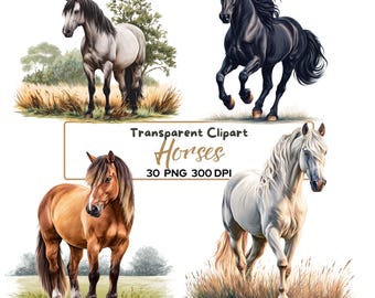 Paquete de 30 imágenes prediseñadas de caballos en formato PNG, animales de granja realistas, descarga digital ecuestre, ilustración de caballo, imágenes prediseñadas rústicas del oeste, 300 DPI.
