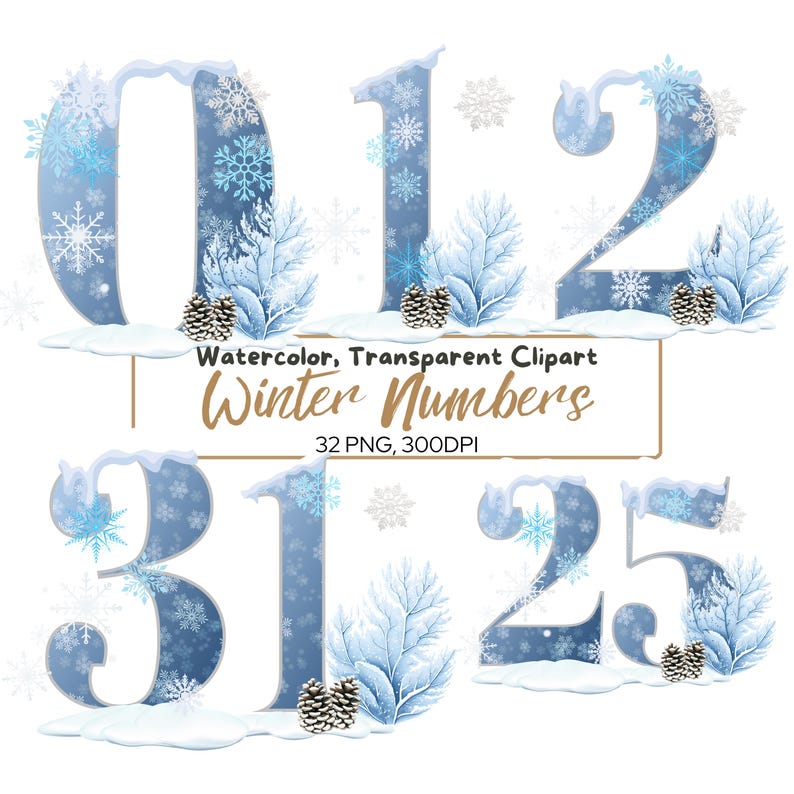 Numbers Snowflake Design Winter Numbers Clipart: Snowflake PNG Bundle (digital Download ...