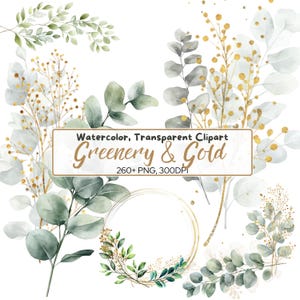 260+ PNG Greenery Clipart - Clipart botânico - Elementos de casamento, folhagem dourada, clip art verde e dourado, Eucalipto aquarela - Guirlanda