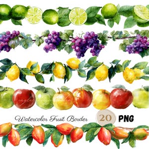 20 Clipart di bordi di FRUTTA ad acquerello PNG / Bordo di limone, arancia, agrumi / Divisore di bordi estivi / Clipart di anguria, fragola, ciliegia