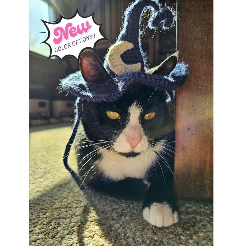 May include: A black and white cat wearing a navy blue witch hat with a cream-colored crescent moon. The hat has a pointed top and is secured with a chin strap. Text in a pink bubble reads "New COLOR OPTIONS!!".