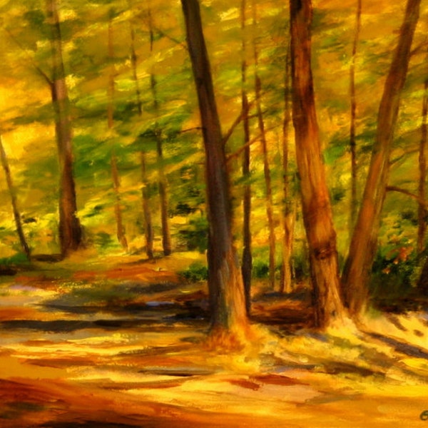 Landscape Oil Painting ILLUMINATION 18x24