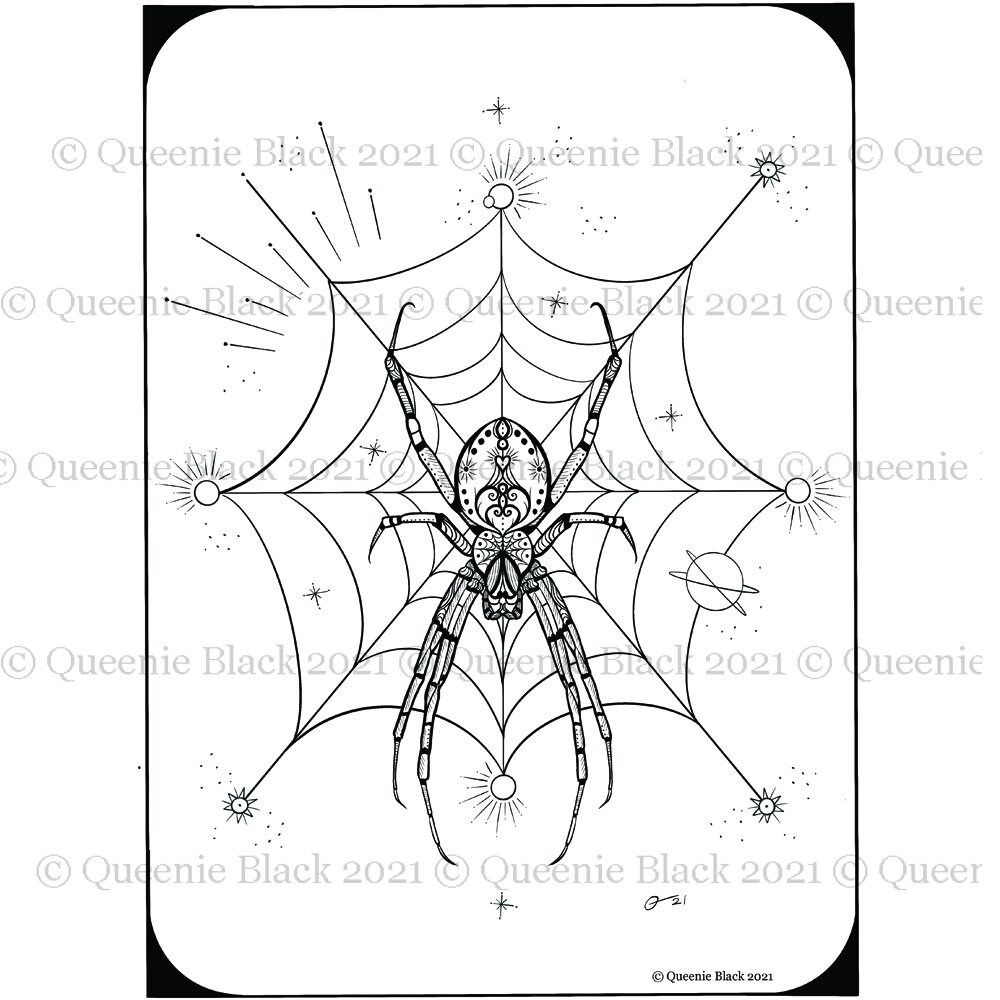 Coloring Book Spider Download Coloring Page Pocket Full of - Etsy