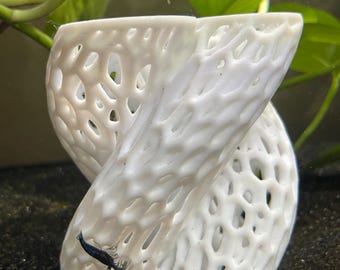 Archivo STL de piel de camarón en espiral: decoración para acuarios con impresión 3D, STL de paisaje acuático (descarga digital)