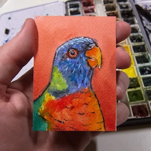 ACEO Original Watercolor, Parrocchetto, regalo per gli amanti degli uccelli, pittura in miniatura
