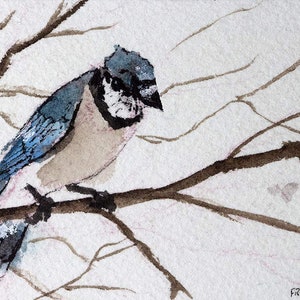 ACEO PRINT, Blue Jay, regalo per gli amanti degli uccelli, pittura in miniatura