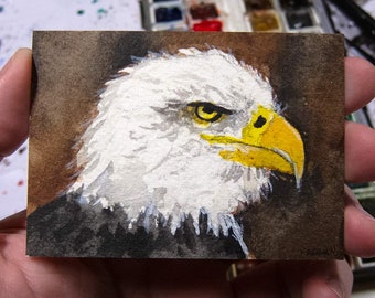 ACEO Original Watercolor, Bald Eagle, gift for bird lovers, miniature painting