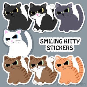 Smiling Kitty, 3&quot; Vinyl Sticker, Weatherproof, cat sticker