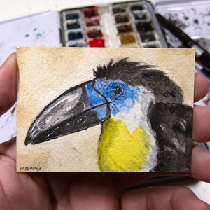 ACEO Original Watercolor, Hornbill Stork, regalo per gli amanti degli uccelli, pittura in miniatura