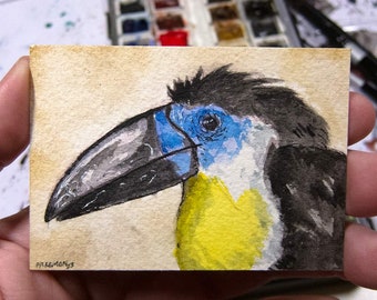 ACEO Original Watercolor, Hornbill Stork, gift for bird lovers, miniature painting