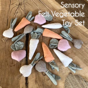 Felt Vegetable Toy Set: Handmade Cotton Montessori Play Food