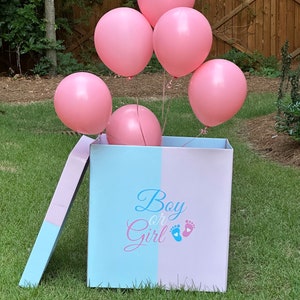 Giant Gender Reveal Box