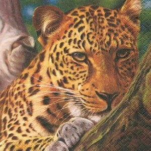 4 tovaglioli per découpage, set di 4 tovaglioli di carta, 33 x 33 cm (13 pollici), tovagliolo, animale safari, giaguaro, animale africano, tovagliolo