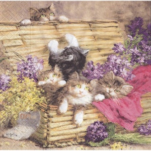 4 szt. serwetek do decoupage'u, zestaw 4 serwetek papierowych, 33 x 33 cm (13 cali), serwetka - kocięta w koszyku, urocze koty, serwetka
