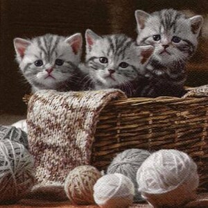 4 Stück Decoupage Servietten, 4er-Set Papierservietten, 33x33cm, Serviette - Kätzchen im Korb und Wolle, süße Katzen, süße Tiere, Serviette