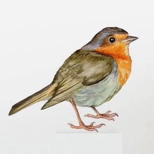 Vogelsticker, schattige zelfklevende vogelstickers, 21 x 17 cm