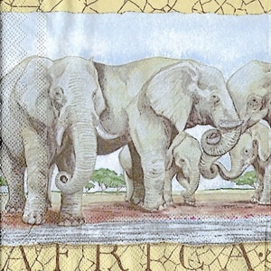 4-delige servetten decoupage, set van 4 papieren servetten, 33 x 33 cm (13 inch), servet - olifanten, safaridieren, Afrikaservet