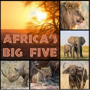 Tovaglioli per decoupage da 4 pezzi, set di 4 tovaglioli di carta, 33x33 cm (13 pollici), tovagliolo - Tovagliolo animali safari, animali africani
