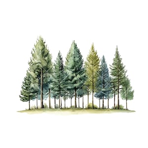 Clipart di alberi nordici ad acquerello - 10 alberi PNG trasparenti - Arte della foresta scandinava - Grafica naturalistica boho minimale - Download digitale