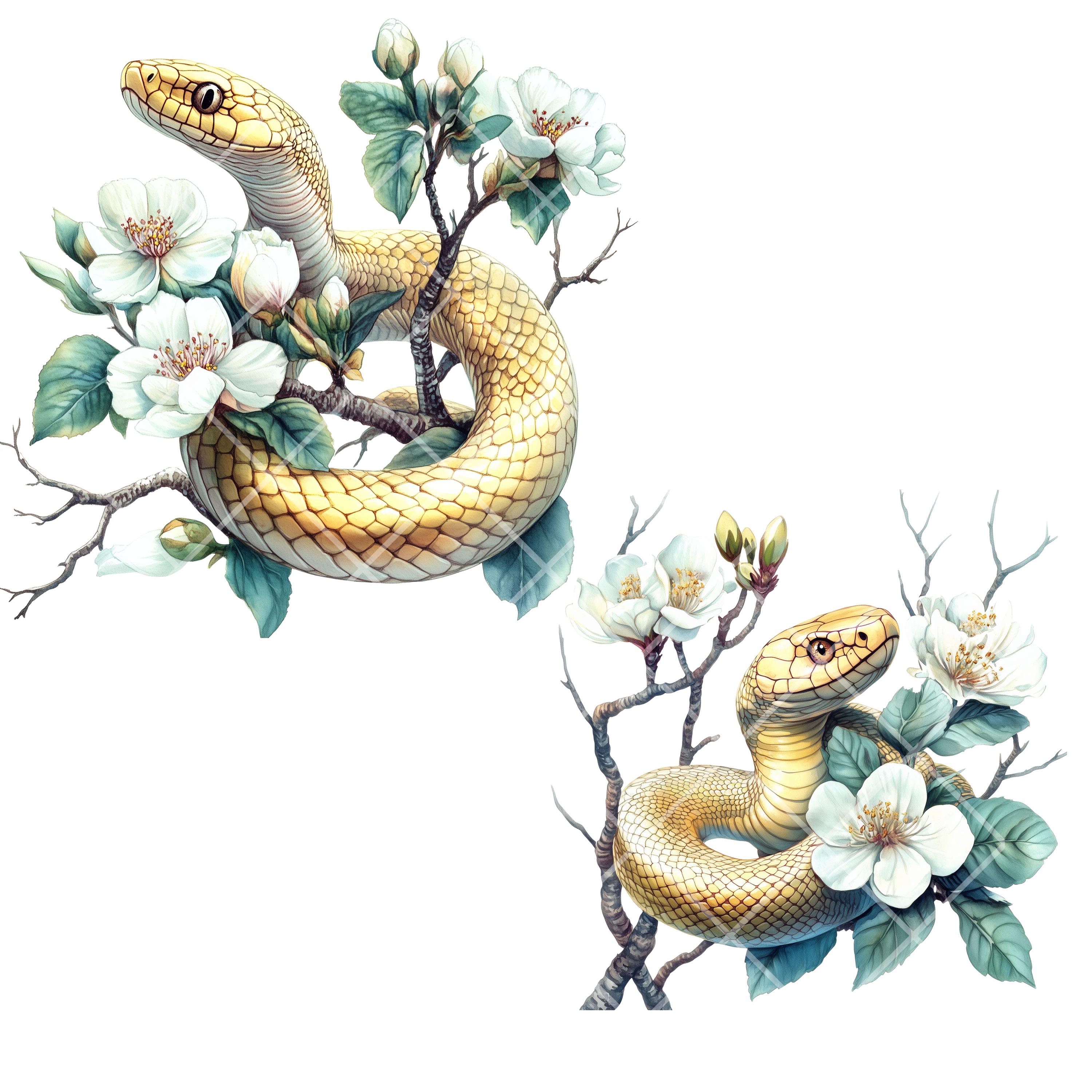 15 PNG クリップアート – 花の要素を持つ水彩画のヘビ、デザイン用の