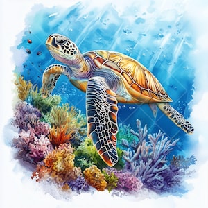 Tortuga marina con corales / 12 imágenes prediseñadas JPG / Ilustración oceánica en acuarela / Arte de fauna marina / Descarga digital para scrapbooking y diseño