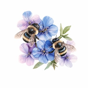 10 Watercolor Bees and Flowers Clipart – Floral Bee PNG Bundle – Digital Download for Crafts, Journals & Prints
