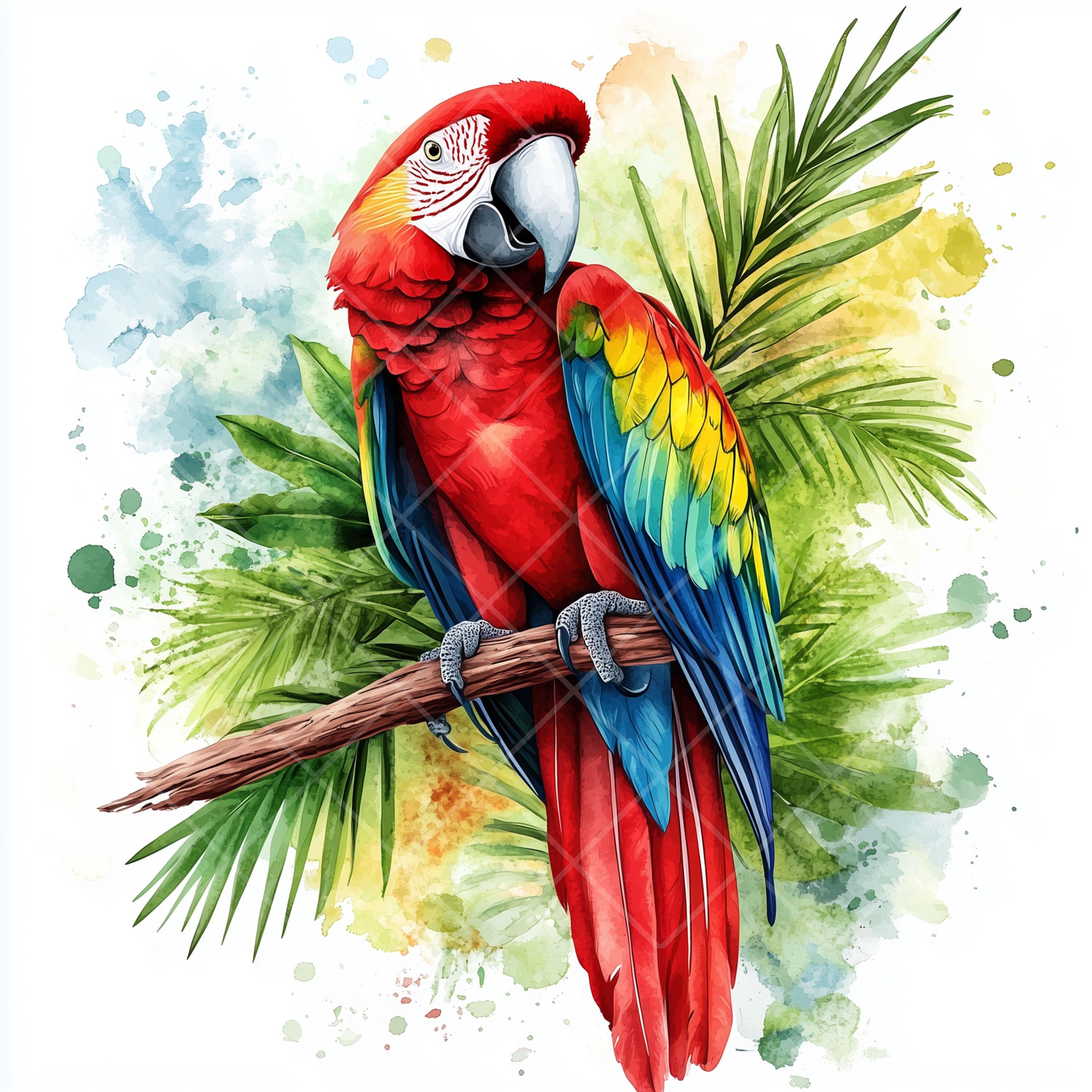 コンゴウインコ　絵画 コンゴウインコオウム赤オウム水彩画アート絵画動物鳥オリジナル