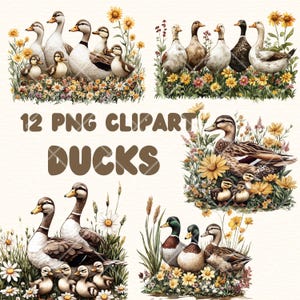 12 imágenes prediseñadas PNG: patos en un prado con flores silvestres, ilustración de naturaleza en acuarela, animales de primavera, imágenes prediseñadas de naturaleza de verano, familia de patos