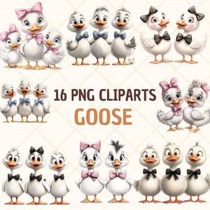 16 PNG Cliparts ,Cute little goose, funny goose illustrations, adorable baby birds, farm animal art,transparent background, cartoon style