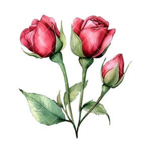 Może przedstawiać: Aquarela przedstawiająca trzy czerwone róże z zielonymi liśćmi i łodygami.