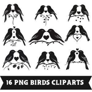 Paquete de imágenes prediseñadas de pájaros del amor: 16 ilustraciones románticas de pájaros PNG, imágenes prediseñadas de boda, gráficos de San Valentín, arte digital del amor, descarga instantánea